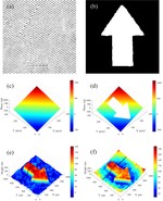 Phase aberration compensation via deep learning in digital holographic microscopy